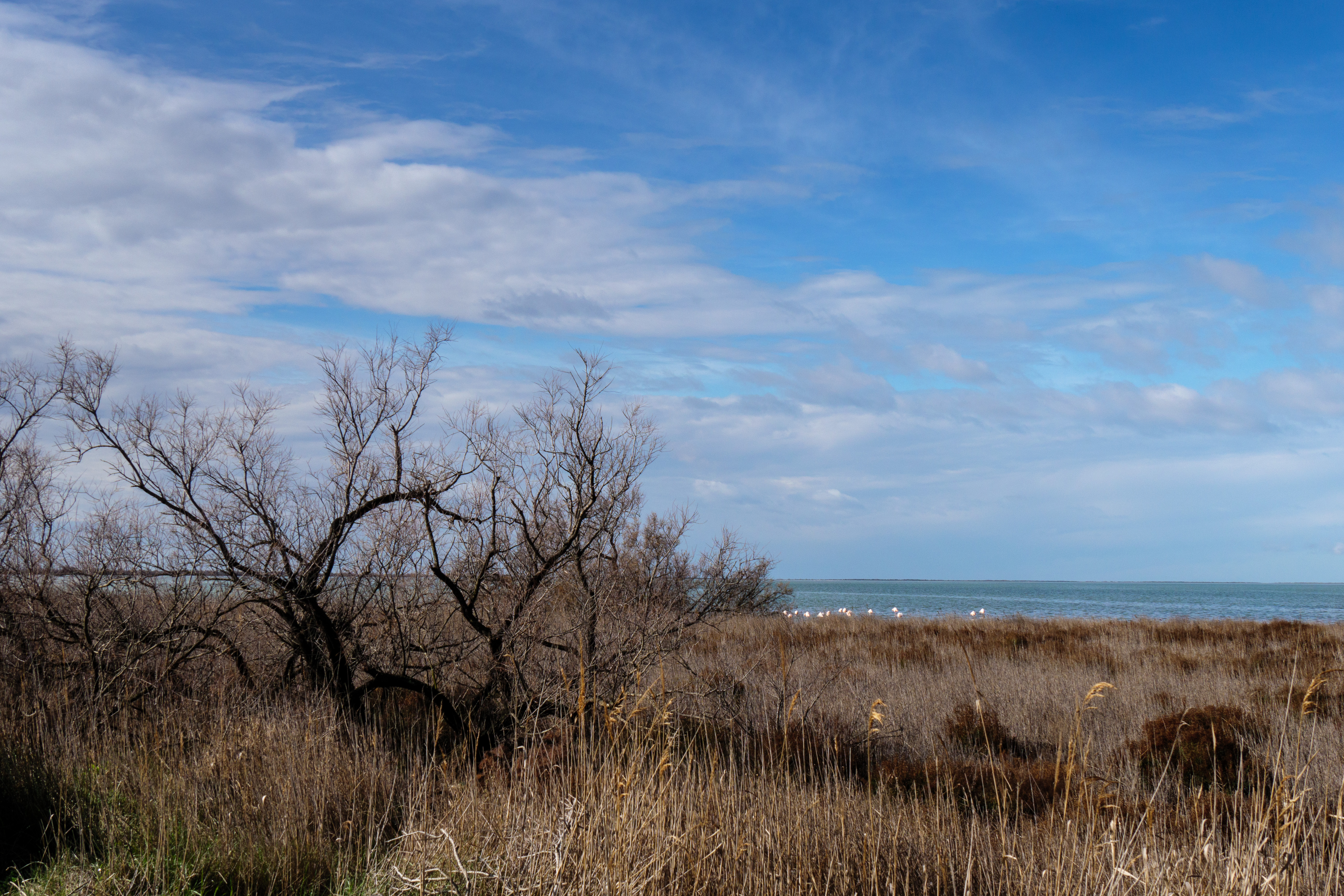 Parc Naturel de Camargue